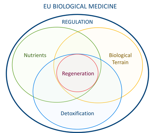 Diagram of EU biological medicine with regeneration connected to the biological terrain, nutrients, and detoxification