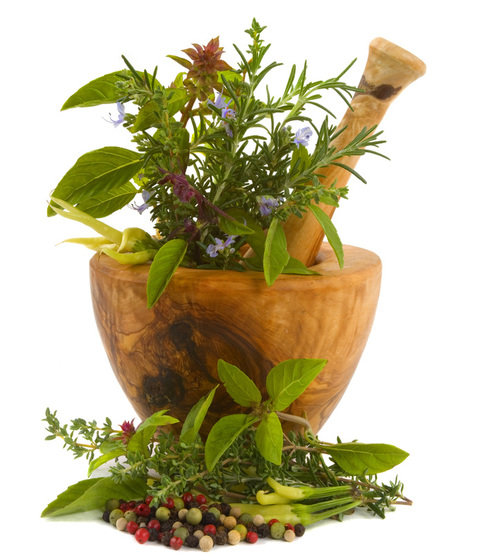 Herbs in wooden mortar and pestle